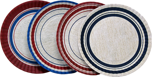 Backyard BBQ Party Set