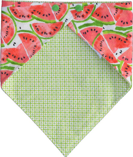 Watermelon Bandana & Bow Set